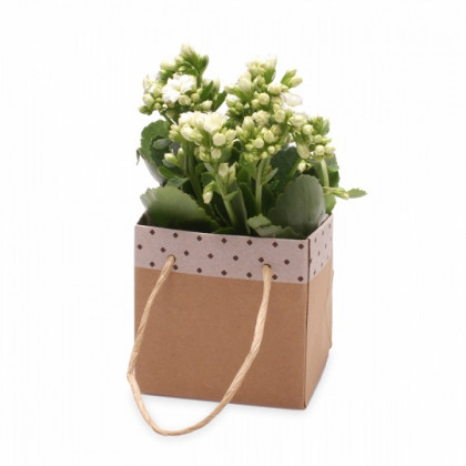 BOLSA MACETERO 13X13X13