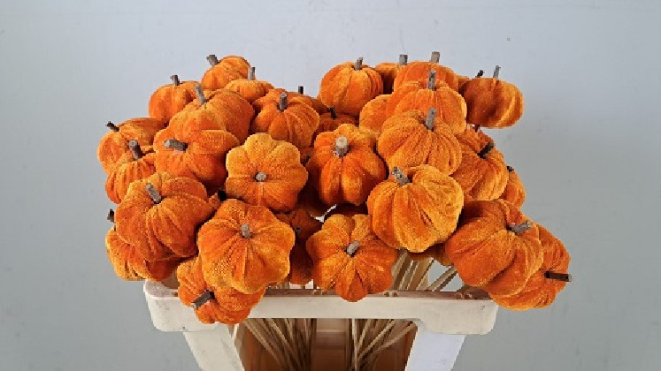 PICK CALABAZA 60CM X 5 NARANJA