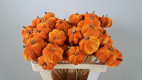 PICK CALABAZA 60CM X 5 NARANJA