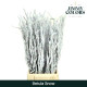 BETULA NEVADA 70CM X10T BLANCO.