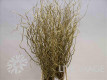 SALIX VRF ORO 120CM X 10TLLS