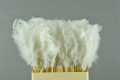 PICK PLUMA BLANCA 50CM X 10UNI.