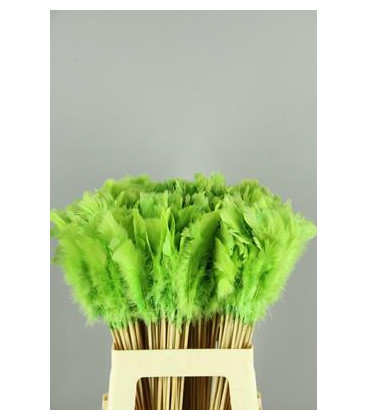 PICK PLUMAS APPLE GREEN 50CM X 10 TLLS