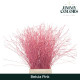 BETULA VRF 60CM X10T ROSA.