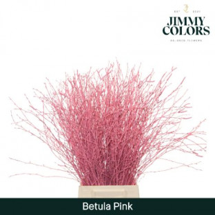 BETULA VRF 60CM X10T ROSA.