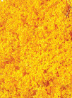 BROOMS AMARILLO