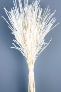 OURO BLANCO 60CM