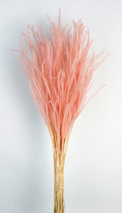 OURO ROSA 60CM