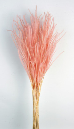 OURO ROSA 60CM