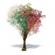 GYPSOPHILLA PRES. PASTEL MIX