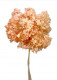 HYDRANGEA PRESERVADA SALMON