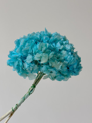 HYDRANGEA PRESERVADA AZUL CELESTE