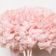 HYDRANGEA PRESERVADA ROSA SUAVE