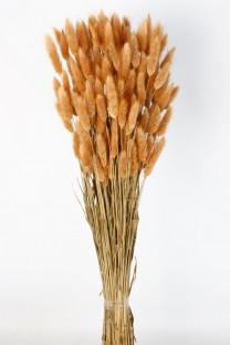 LAGURUS 60CM NARANJA