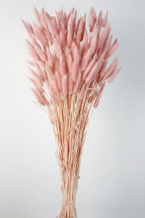 LAGURUS 60CM ROSA
