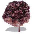 HYDRANGEA PRESERVADA LILA