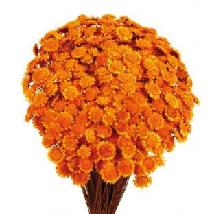 MARGARET NARANJA