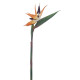 STRELITZIA 95 CM NARANJA