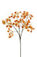GYPSOPHILLA 70 CM ORANGE