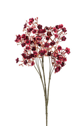 GYPSOPHILLA 70 CM BURDEOS
