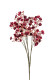 GYPSOPHILLA 70 CM BURDEOS