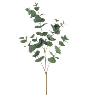 EUCALIPTUS 90 CM VERT