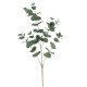 EUCALIPTUS 90 CM VERT