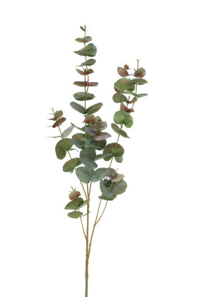 EUCALIPTUS 98 CM VERT/ROJO
