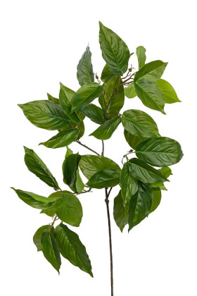 SALAL HOJA VERDE 74 CM
