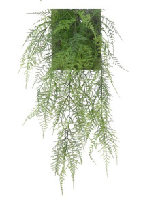 ASPARAGUS 54 CM VERDE