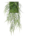 ASPARAGUS 54 CM VERDE