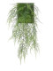 ASPARAGUS 54 CM VERDE
