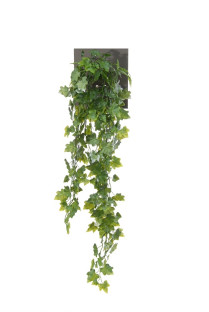 HIEDRA COLGANTE 70 CM BICOLOR