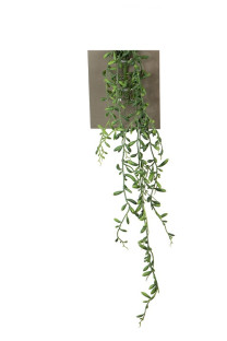 SENECIO 60 CM VERDE