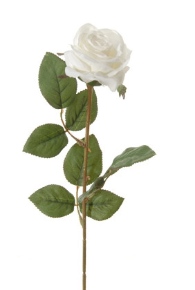 ROSA 66 CM BLANCA