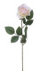 ROSA 66 CM ROSA CLARO