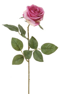 ROSA 66 CM CEREZA