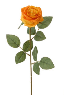 ROSA 66 CM NARANJA