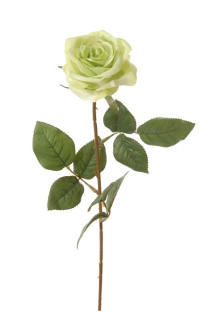 ROSA 66 CM VERDE
