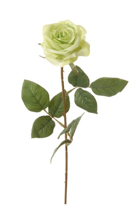 ROSA 66 CM VERDE