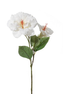 HIBISCUS 65 CM BLANCO