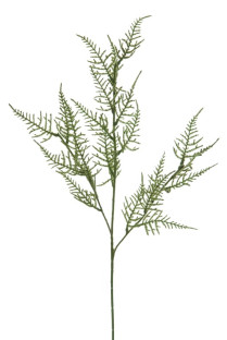 ASPARAGUS 69 CM VERDE