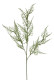 ASPARAGUS 69 CM VERDE
