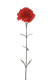 OEUILLET CLAVEL 67 CM ROJO