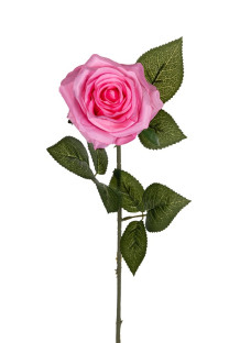 ROSA 66 CM ROSA
