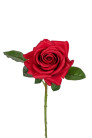 ROSA 62 CM ROJA