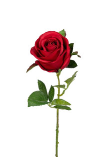 ROSA 57 CM ROJA