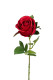 ROSA 57 CM ROJA