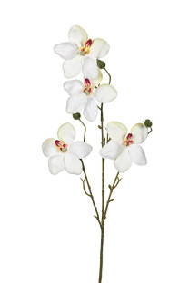 ORQUIDEA 55 CM BLANCO