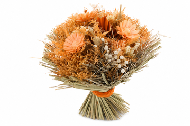 BOUQUET ILER DRY Ø25 SALMÓN.